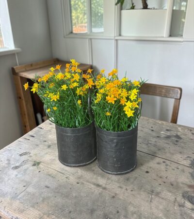 Vintage Metall-Doppelbehälter mit Griff