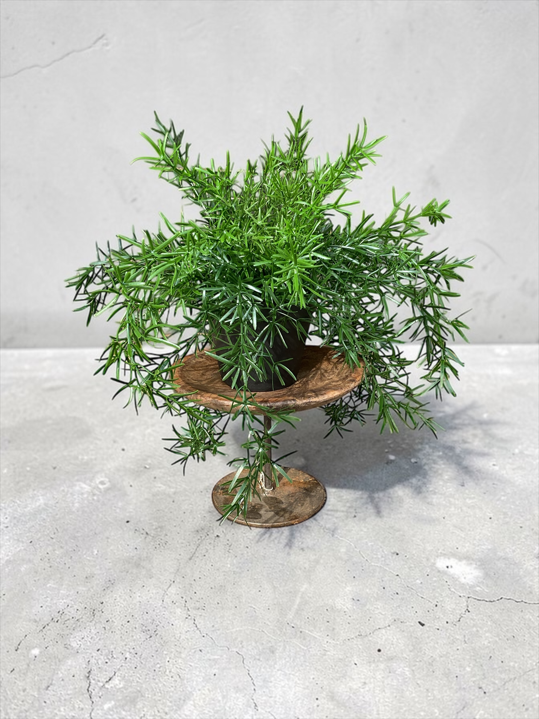 Vintage Holzschale auf Metallständer - Image 2